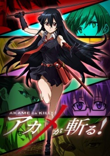 Anime Akame ga Kill! Art
