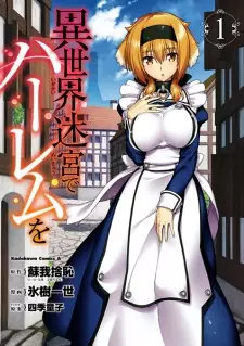 Isekai Meikyuu de Harem wo