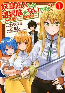 Dorei Shounin shika Sentakushi ga Nai desu yo?: Harem? Nani Sore Oishii no?