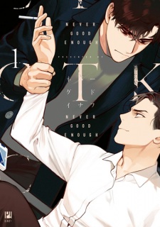 Imagen de Never Good Enough